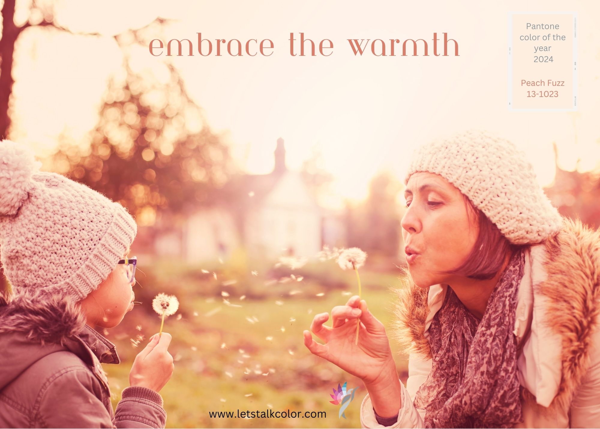 Embrace The Warmth