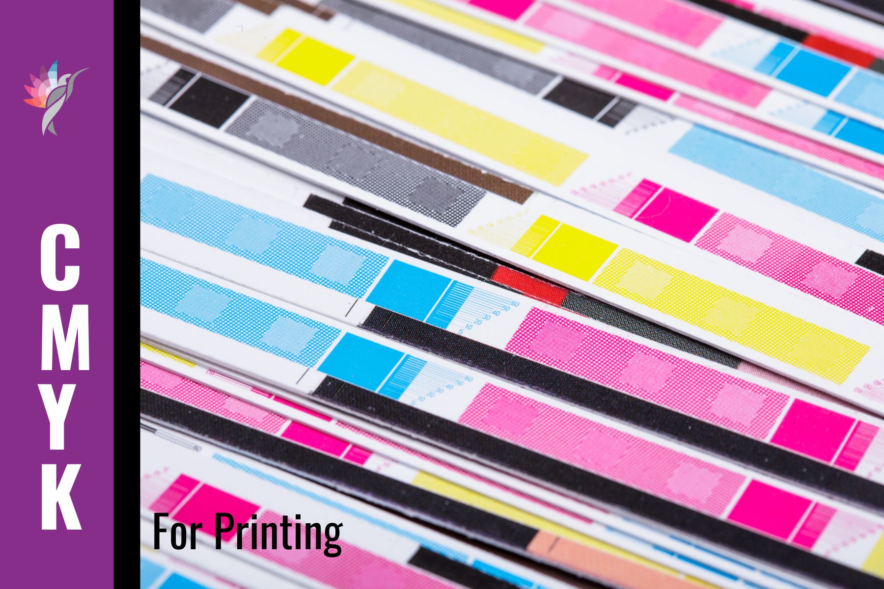 Why Color Looks Different Everywhere – Let's Talk Color